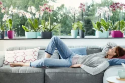 Elho Brussels Orchideenschale Duo fuchsia 25 x 13 x 12,6 cm