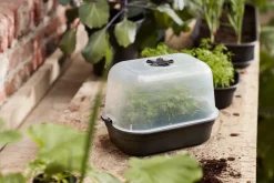 Elho green basics Anzuchtkasten Deckel 24 x 12 x 17 cm