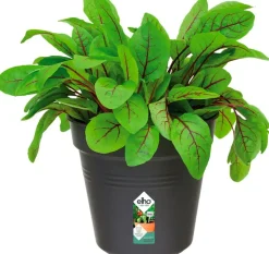 Elho green basics Anzuchttopf D 13 H 12 cm schwarz