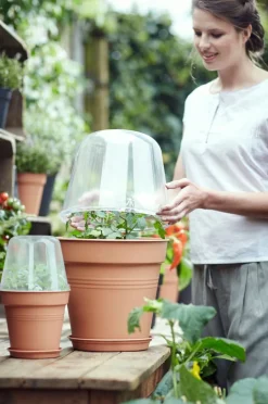 Elho green basics Anzuchtkasten Deckel D 30 cm H 23,1 cm