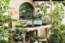 Elho green basics Anzuchtkasten Deckel 35,8 x 25,5 x 12,9 cm