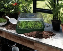 Elho green basics Anzuchtschale grün 36 x 26,5 x 6,3 cm