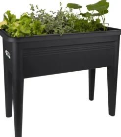 Elho green basics Anzuchtkasten XXL schwarz