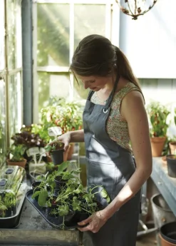 Elho green basics Anzuchtschale M schwarz 35,7 x 25,6 x 2,2 cm