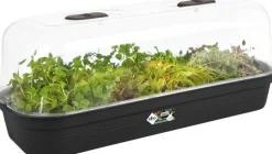 Elho green basics Anzuchtschale schwarz 51,2 x 19,5 x 7,5 cm