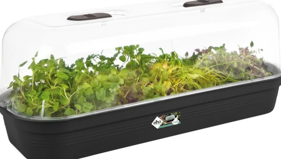 Elho green basics Anzuchtschale schwarz 51,2 x 19,5 x 7,5 cm