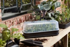 Elho green basics Anzuchtschale schwarz 51,2 x 19,5 x 7,5 cm