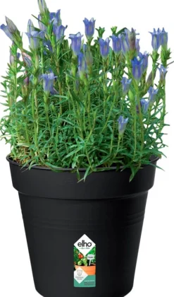 Elho green basics Anzuchttopf D 17 H 15,6 cm schwarz