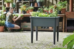 Elho green basics Anzuchtkasten XXL schwarz 75,5 x 56,3 x 73,3 cm