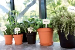 Elho green basics Anzuchttopf D 15 H 14 cm schwarz