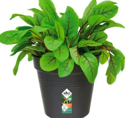 Elho green basics Anzuchttopf D 19 H 17,5 cm schwarz