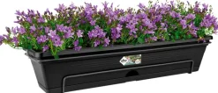 Elho green basics Balkonkasten all-in-one 69,2 x 25,7 x 16,7 cm schwarz