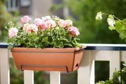 Elho green basics Balkonkasten Barcelona terracotta 49,5 x 27,5 x 18,5 cm