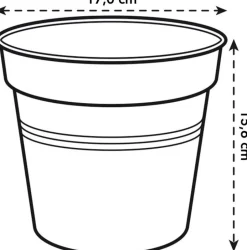 Elho green basics Orchideentopf transparent D 17 H 15,6 cm