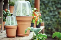 Elho green basics Orchideentopf transparent D 17 H 15,6 cm