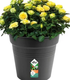 Elho green basics Pflanztopf schwarz D 40 H 37 cm