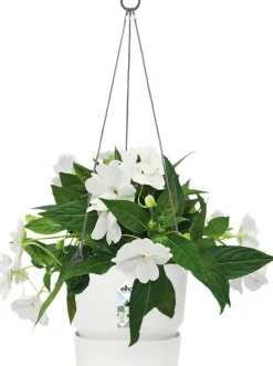 Elho Hängetopf Greenville weiß D 23,9 H 20,3 cm
