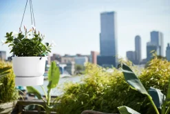 Elho Hängetopf Greenville weiß D 23,9 H 20,3 cm