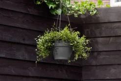 Elho Hängetopf Vibia D 26 H 18 cm anthrazit