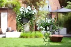 Elho Hängetopf Vibia D 26 H 18 cm anthrazit