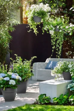 Elho Hängetopf Vibia D 26 H 18 cm anthrazit