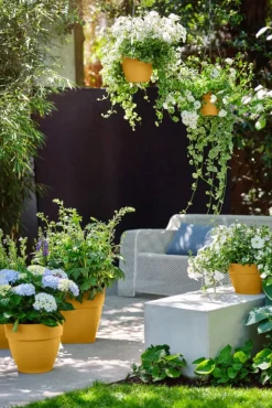 Elho Hängetopf Vibia gelb D 26 H 18 cm