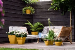 Elho Hängetopf Vibia gelb D 26 H 18 cm