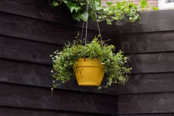 Elho Hängetopf Vibia gelb D 26 H 18 cm