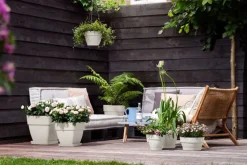 Elho Hängetopf Vibia weiß D 26 H 18 cm