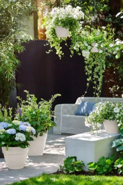 Elho Hängetopf Vibia weiß D 26 H 18 cm