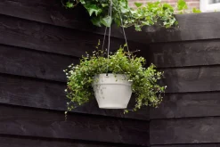 Elho Hängetopf Vibia weiß D 26 H 18 cm