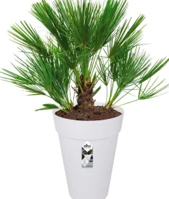 Elho Loft Urban Blumentopf hoch D 35 H 46 cm weiß