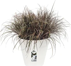 Elho Loft Urban Blumentopf D 30 cm weiß