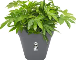 Elho Loft Urban Blumentopf mit Rollen 50 cm anthrazit