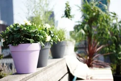 Elho Loft Urban Blumentopf rund D 20 cm anthrazit