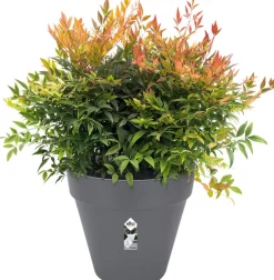 Elho Loft Urban Blumentopf D 30 cm anthrazit