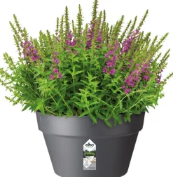 Elho Loft Urban Pflanzschale D 35 cm anthrazit