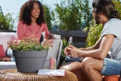 Elho Loft Urban Pflanzschale D 35 cm anthrazit