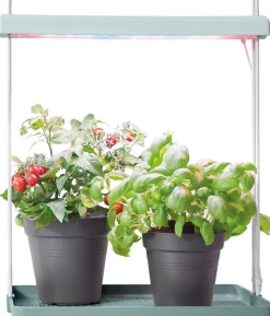 Elho Pflanzenlampe Light Garden grün 44,3 x 27 x 7,8 cm