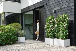 Elho Pflanzkübel Vivo 39 x 78 x 37,5 cm weiß