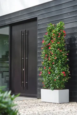 Elho Pflanzkübel Vivo 39 x 78 x 37,5 cm weiß