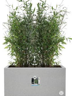 Elho Pflanzkübel Vivo 39 x 78 x 37,5 cm grau