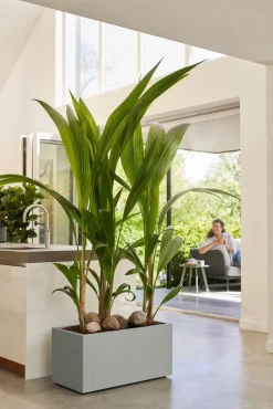 Elho Pflanzkübel Vivo 39 x 78 x 37,5 cm grau