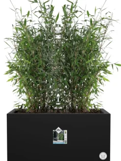 Elho Pflanzkübel Vivo 39 x 78 x 37,5 cm schwarz