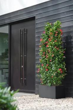 Elho Pflanzkübel Vivo 39 x 78 x 37,5 cm schwarz