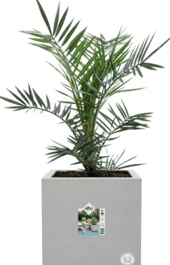 Elho Pflanzkübel Vivo Next 39 x 40 x 38 cm grau