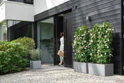 Elho Pflanzkübel Vivo Next 39 x 40 x 38 cm grau