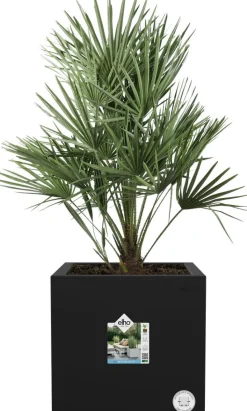 Elho Pflanzkübel Vivo Next 39 x 40 x 38 cm schwarz