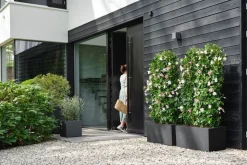 Elho Pflanzkübel Vivo Next 39 x 40 x 38 cm schwarz