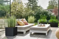 Elho Pflanzkübel Vivo Next 39 x 40 x 38 cm schwarz